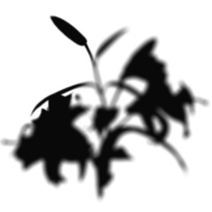 Floral Shadow Shape, overlay shadow effect isolated on transparent background