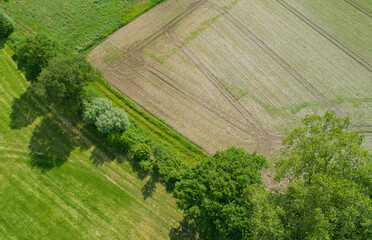 Drohnen Luftaufnahme von diverse Landwirtschaftliche Agrar Felder in Schleswig Holstein Deutschland