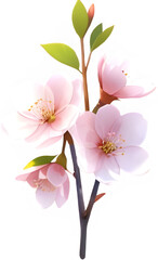 cherry_blossom_isolated_in_3D_0.Generative AI