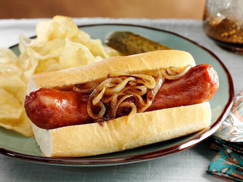 Polish Sausage Kielbasa and grilled onions on Italian bread with potato chips