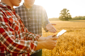 Two Farmers working with Tablet on wheat field. Smart farming and digital agriculture. 