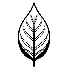 leaf vector illustration
