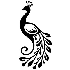 Beautiful peacock silhouette