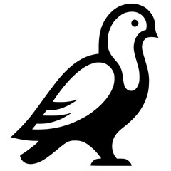 Beautiful dove silhouette