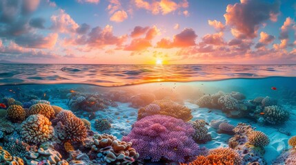 Fototapeta na wymiar Picture an enchanting summer sunset over a prismatic coral reef casting soothing hues throughout the clear turquoise water