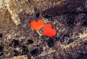 Hearts in the Dirt
