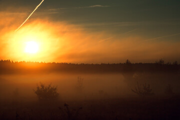 Sunrise over a forest and field in the fog. Autumn or summer landscape.