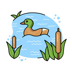 A wild duck swims in a lake near a cattail in a hand-drawn outline style.