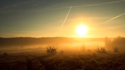 Sunrise over a forest and field in the fog. Autumn or summer landscape. - 781406776
