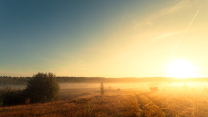 Sunrise over a forest and field in the fog. Autumn or summer landscape. - 781406914