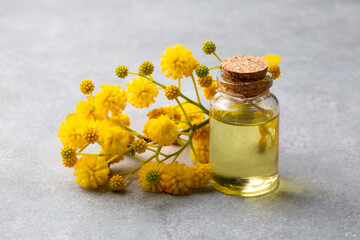 Mimosa essential oil in a glass bottle. Natural cosmetics, aromatherapy and spa concept
