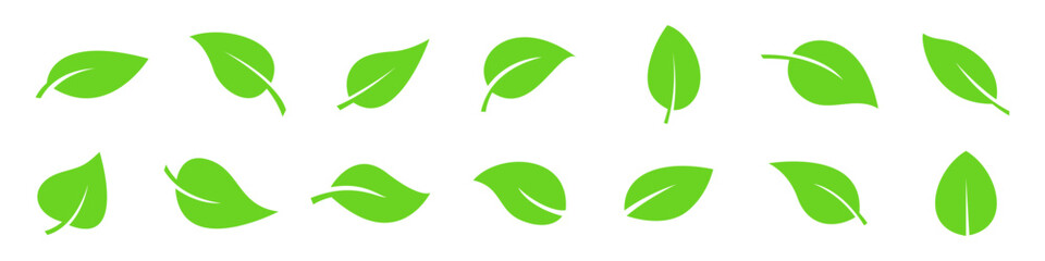 Fototapeta premium Green leaf icon. Green leaf set. Vector illustration.