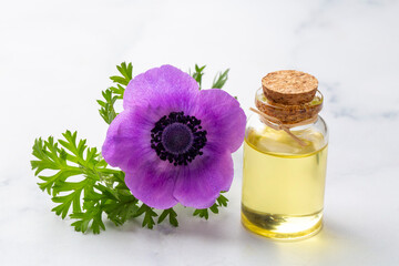 Obraz na płótnie Canvas Anemone plant and essential anemone oil