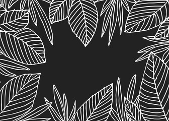 Hand Drawn White Leaf Frame Vector Illustration on Black Background