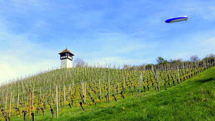 gepflegter Weinberg bei Meersburg am Bodensee  mit Zeppelin und malerischem Rebhäuschen © globetrotter1