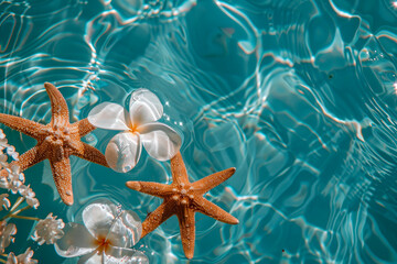 Starfish on the summer beach in sea water. Summer background - 781415150