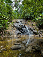 Tranquil waterfall gently flowing into a forest pond, surrounded by green foliage and scattered...