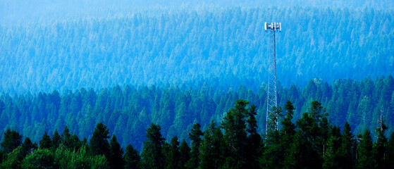 Radio Cell Tower in Pine Forest Wilderness Communications System - 781415363