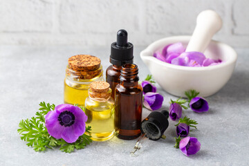 Anemone plant and essential anemone oil