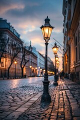 Illuminated street lamps lining a cobblestone pathway at dusk, casting a warm glow. vertical foto....