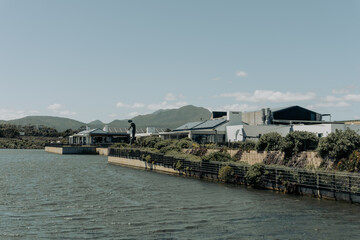 wine farm on the coast