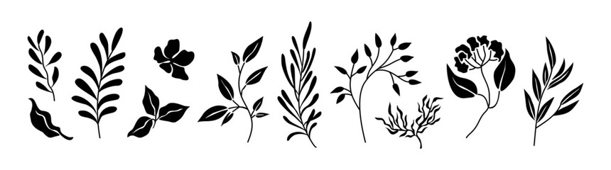 Set of black silhouettes of wild plant leaves, flowers. Hand drawn elegant foliage. Trendy botanical black and white vector illustrations isolated on transparent background. - obrazy, fototapety, plakaty