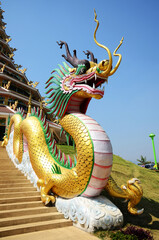 Sculpture ancient chinese dragon statue on stairs for thai people travelers entrance travel visit stupa chedi and chinese pagoda in Wat Huay Pla Kang temple at Chiangrai city in Chiang Rai, Thailand