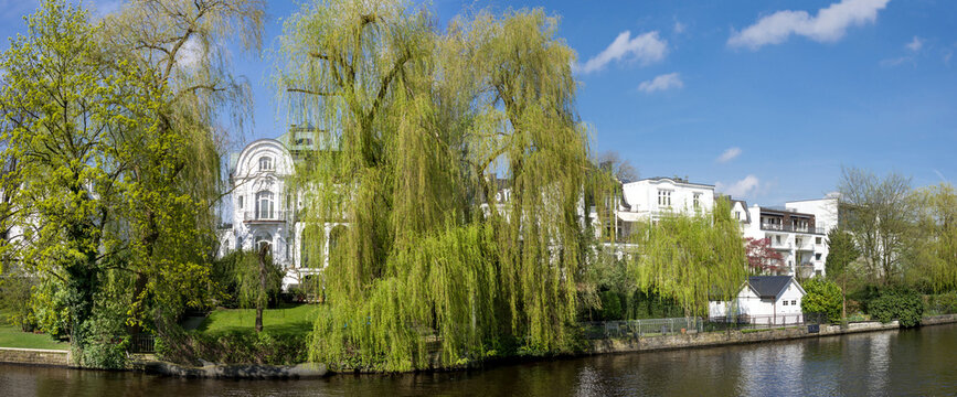 Frisches Gr&uuml;n an der Alster in Eppendorf