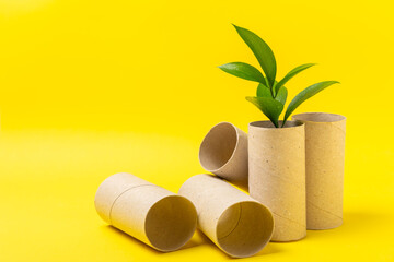 Empty toilet paper roll. Empty toilet paper rolls and plant for on a bright yellow background. Paper tube of toilet paper. Place for text. Copy space. Flat lay. Eco-friendly reuse recycle
