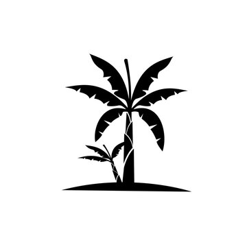 banana tree and shoots silhouette icon vector