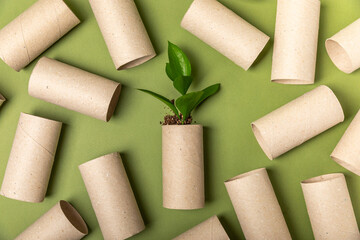 Empty toilet paper roll. Empty toilet paper rolls and plant for on green background. Paper tube of...