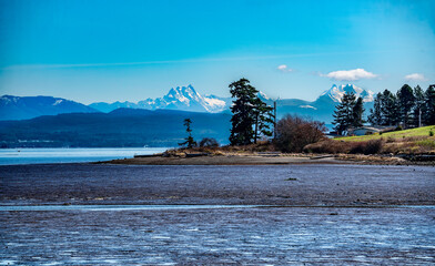 Naklejka premium Mud Flats Landscape 3