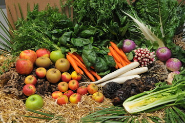 Fruits et Légumes d'hiver