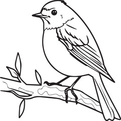 Robin coloring pages. Robin bird outline pages for coloring book