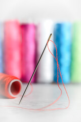 Close-up view of one needle with red thread