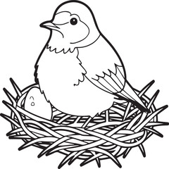 Robin coloring pages. Robin bird outline pages for coloring book