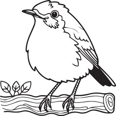 Robin coloring pages. Robin bird outline pages for coloring book