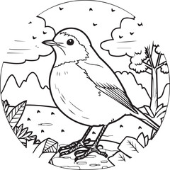 Robin coloring pages. Robin bird outline pages for coloring book