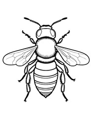 Buzzing Bee Coloring