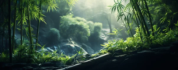 Poster Tranquil bamboo forest picturesque. © Rabbit_1990