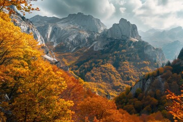 Autumn landscape of mountain slopes covered with yellow trees and foggy haze. The concept for the development of tourism, mountaineering, skiing, rock climbing, excursions in the mountains.  
