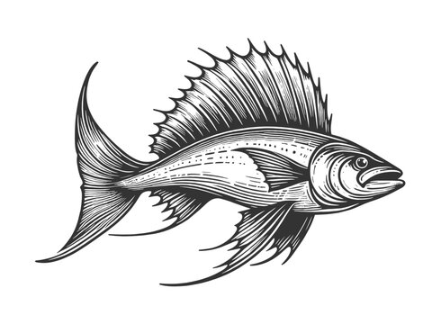 perch fish, detailed engraving in black and white with prominent fins sketch engraving generative ai fictional character vector illustration. Scratch board imitation. Black and white image.