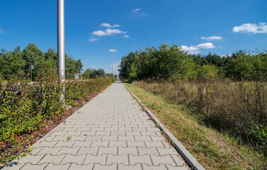 Chodnik wzdłuż drogi prowadzącej przez tereny leśne, przez miejskie obszary  (w Ostrowcu), we wrześniowy poranek. - obrazy, fototapety, plakaty