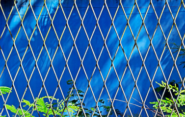 Green mesh, rhombus grid on blue background