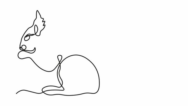 Self drawing animation with one continuous line draw, logo,
abstract squirrel, rodent