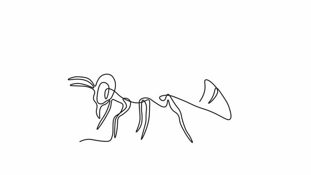 Self drawing animation with one continuous line draw, logo,
abstract fly, bee, bumblebee, wasp