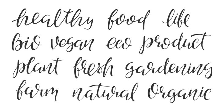 Set of handwritten lettering healthy lifestyle. Black and white illustration. Natural organic product label, packaging design element. Calligraphic word