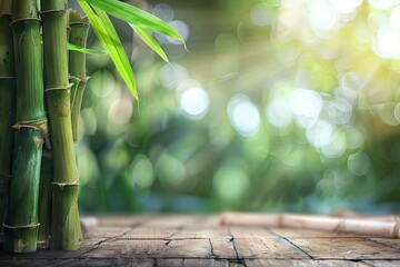 Fototapeta na wymiar Sugar Cane Branches on Blurred Background, Sugarcane Plantation, Fresh Green Sugar Cane Stems
