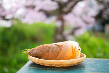  	タケノコと桜の木