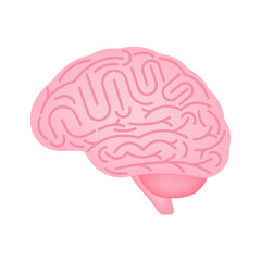 Brain. Human Brain. Vector Illustration Isolated on White Background. 